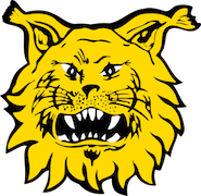 Alla Ilves joukkue Liiga-kaudella 2017-2018